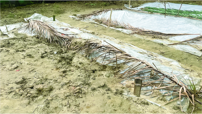 Image of মো. মেহেদী হাসান রবিন